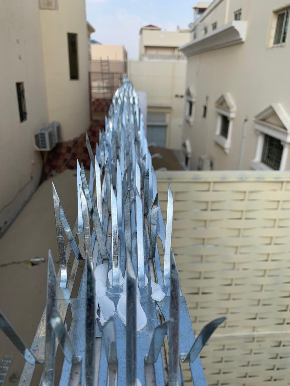 شركة تركيب طارد الحمام في المبرز